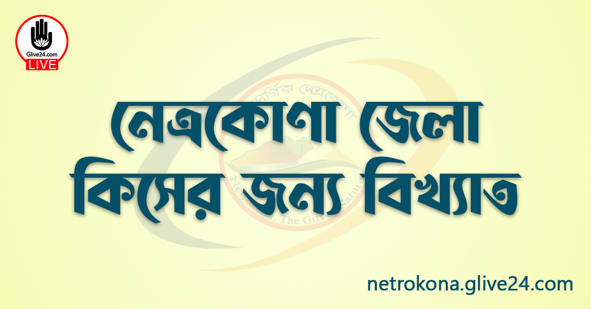 নেত্রকোণা জেলা কিসের জন্য বিখ্যাত