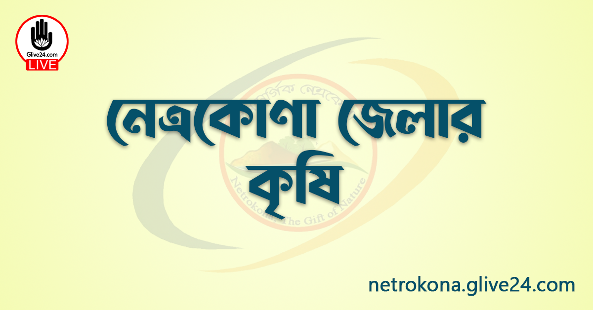 নেত্রকোণা জেলার কৃষি