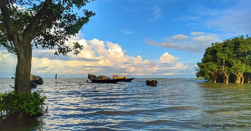 নেত্রকোণা জেলার আবাসন